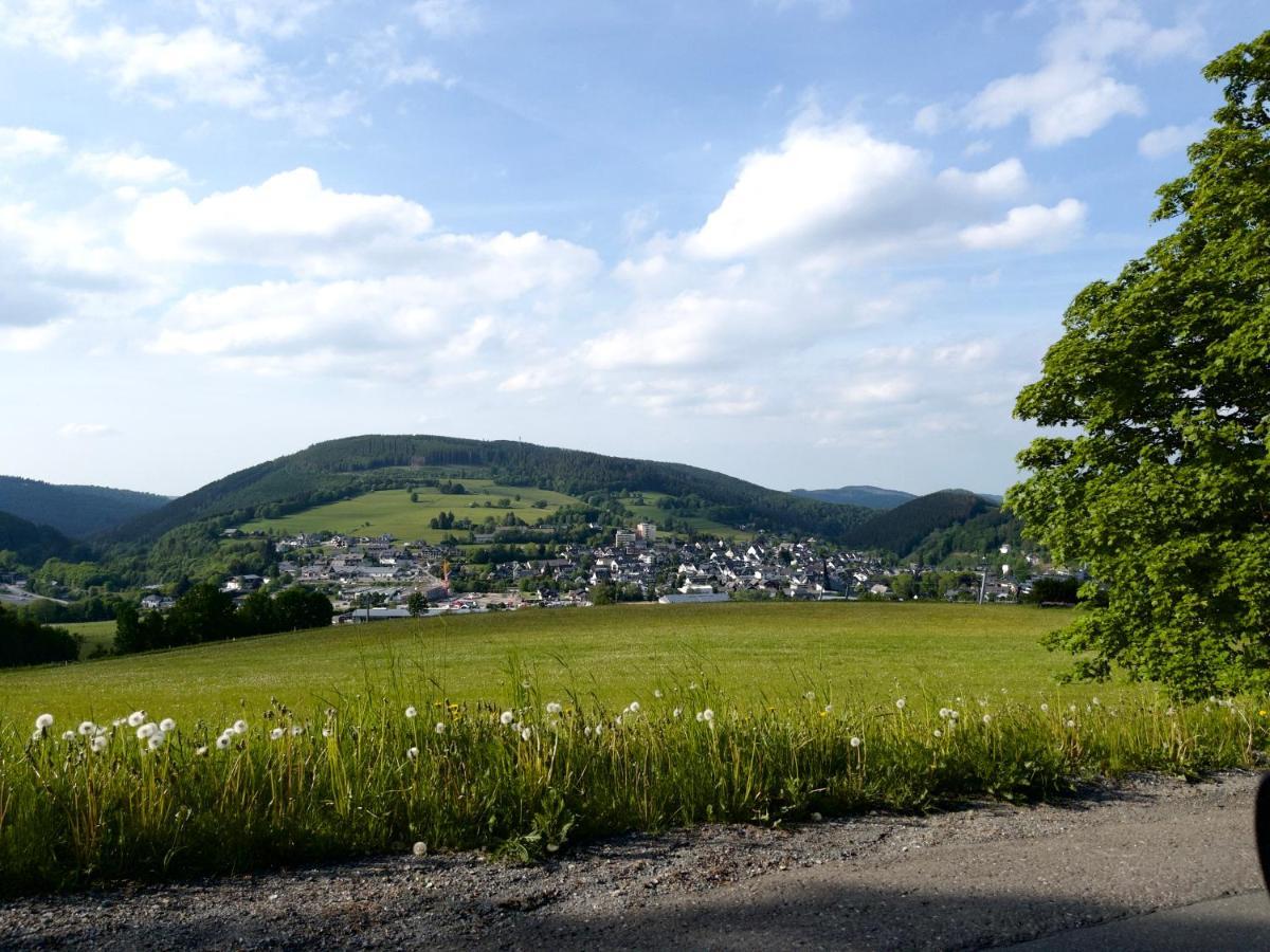 Apartment Bergperle Willingen (Upland)